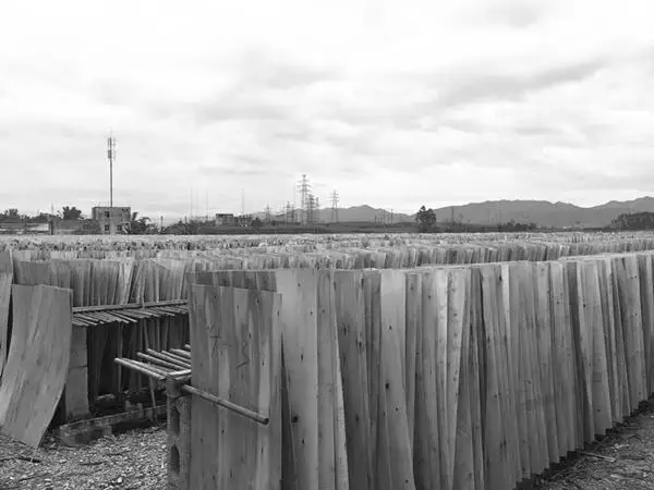 film faced plywood|shuttering plywood|forwork plywood|concrete plywood