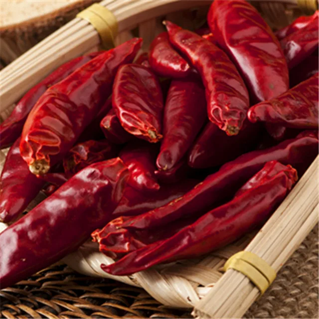Best quality of dried red chilli tianying chilli manufacturer in China with good price to export