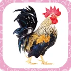Products Kids Toy Educational New Products Education Toy Kids AR Card