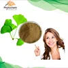 Benefits ginko powder ginkgo biloba leaf extract