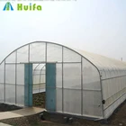Cheap Agricultural Walk in Plastic Garden Greenhouse