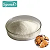 /product-detail/food-grade-lipase-enzyme-powder-cas-no-9001-62-1lipase-enzyme-60740934214.html