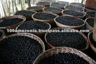 acai paneiros.jpg
