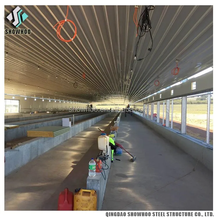 0155_sh_steel_structure_poultry_shed