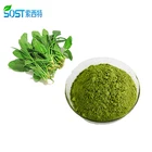 Fresh Spinach Powder Bulk Organic Red Spinach Extract