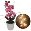 /product-detail/led-lighting-artificial-phalaenopsis-orchid-arrangement-battery-operated-led-flower-lamp-pot-with-6-lights-60817740676.html