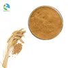 Natural Dry Barley Malt Extract
