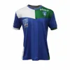 Custom China popular high quality short sleeve soccer jersey team soccer shirt,football uniform