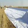 Civil Engineering 200-400g PP/Polyester Nonwoevn Geotextile for Sale
