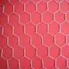 chicken coop hexagonal wire netting/pvc coated hexagonal wire mesh