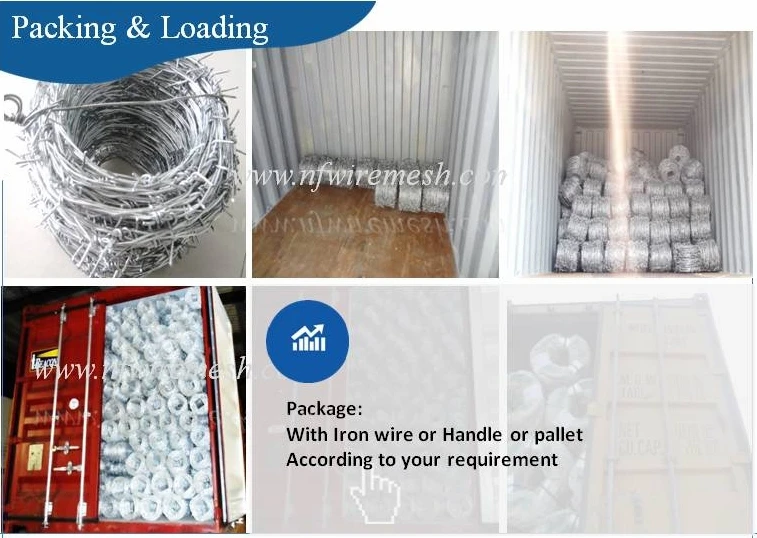 Direct Supplier Against Theft Having Stock Hot Galvanized Barbed Wire Iron Wire for Sale (Guangzhou Factory)