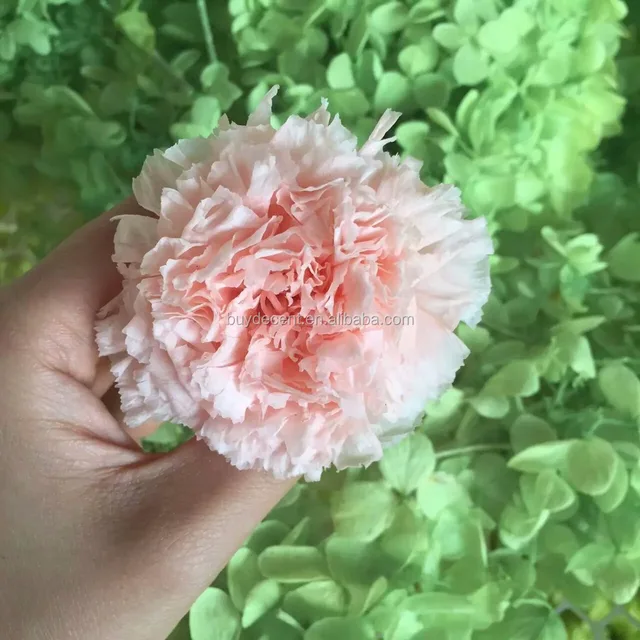 beautiful pink preserved flower for gift artificial carnation