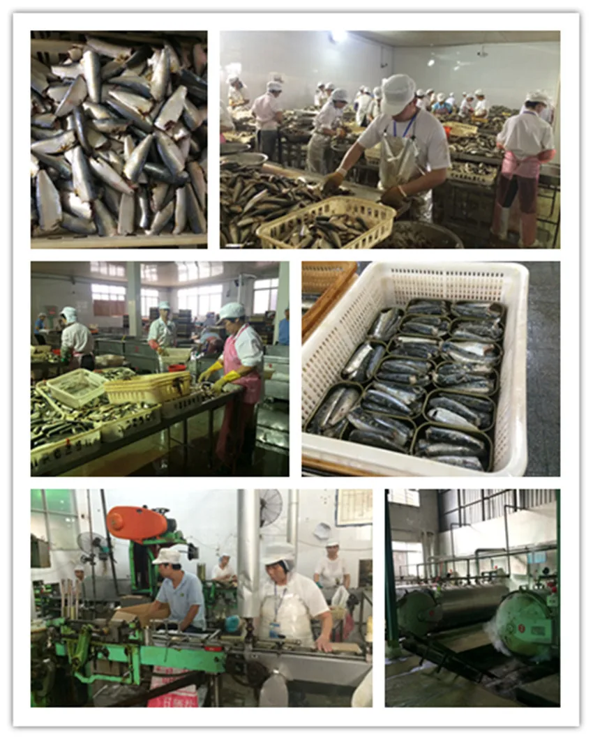 canned fish 2.jpg