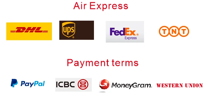 payment and shipping