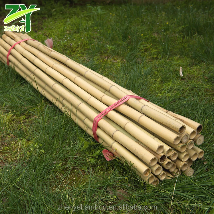 ZY-1001 Natural Dan babmoo.jpg