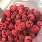 Fresh Frozen Whole Raspberry IQF