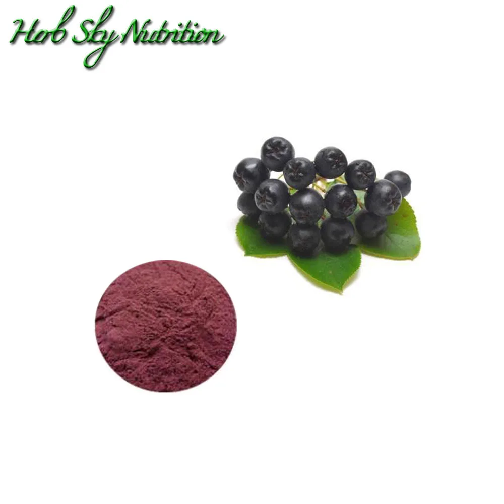 black aronia chokeberry extract/aronia chokeberry extract