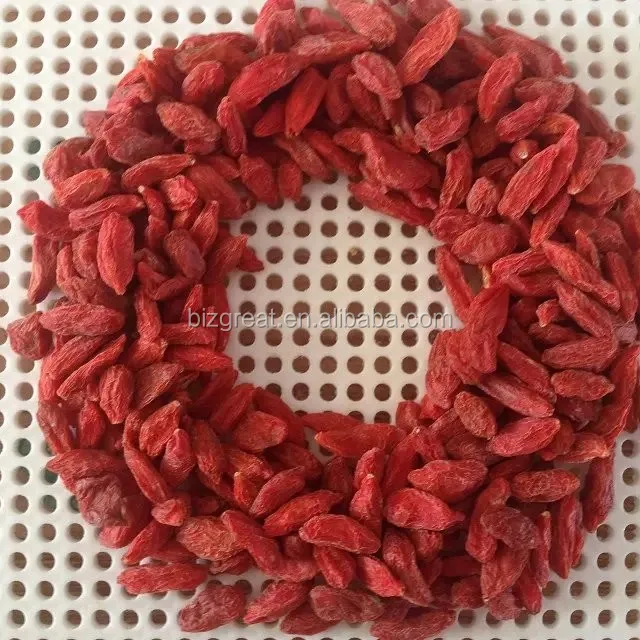 Goji.jpg