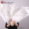 wholesale large white ostrich feathers for sale china supplier