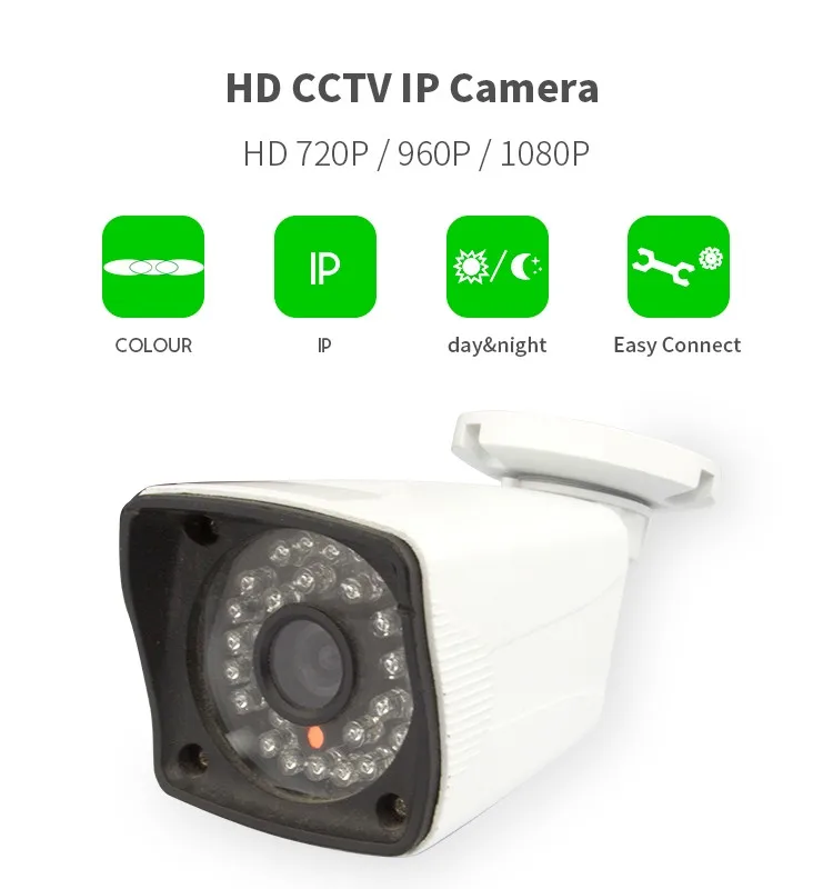 IP420 2 megapixel ip camera