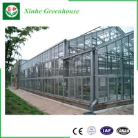 Lettuce System Hydroponic Green House Agriculture