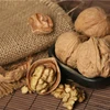 best-selling natural xinjiang medium size walnut export