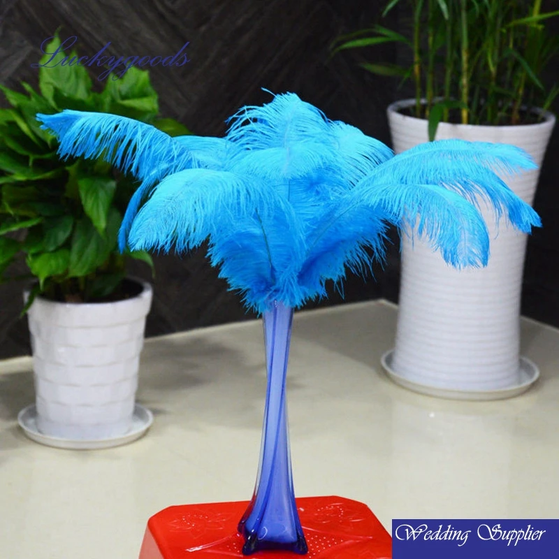 LNM001,LNM002 35-40cm colorful ostrich birds feather for sale cheap