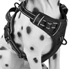 Nylon Mesh Dog Harness for Small Medium Dogs Chihuahua Puppy Vest Reflective Walking Cat Harnesses Lead Leash