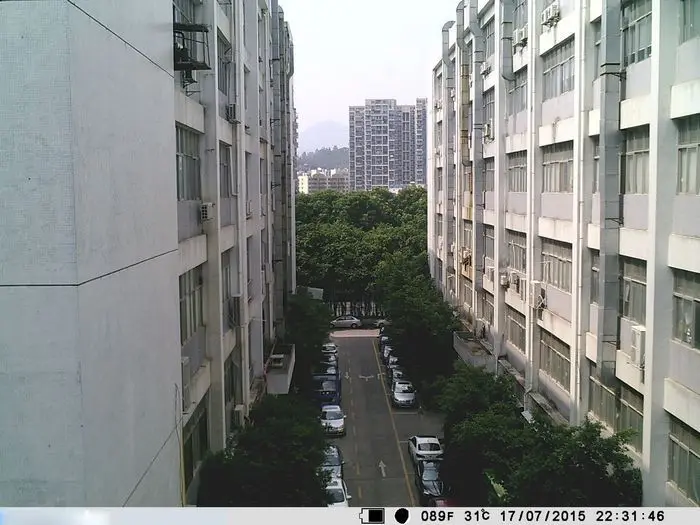 daytime 52-small.jpg