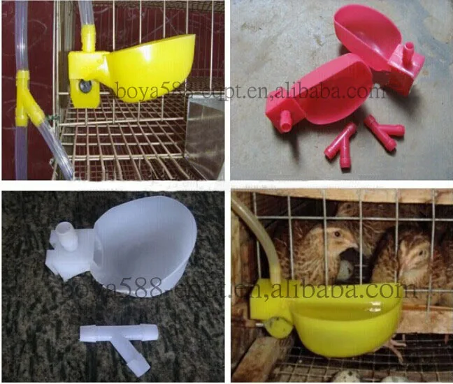 2017 Full Automatic Quail Drinker System Buy Quail Drinker Systems