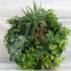 home wall decoration plant wall plastic green wall use for garden ,house,coffee shop ,hotel,school