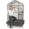 /product-detail/prevue-hendryx-signature-series-wrought-iron-silverado-macaw-dometop-bird-cage-60824434249.html