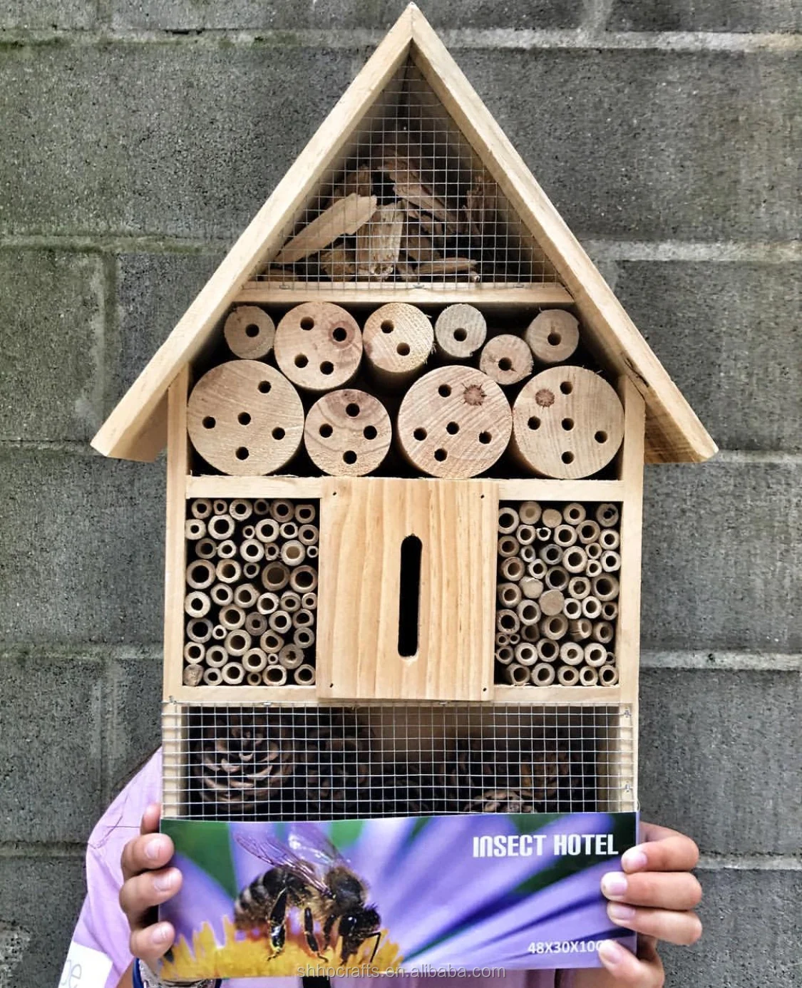 NEST-0031A.JPG