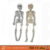 30CM Small Cheap Scary Sepia Style Plastic Hanging Skeleton For Halloween Decorations&Party Props