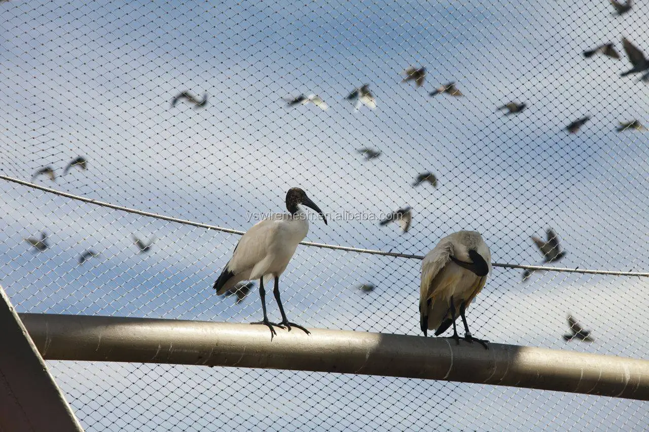 zoo animal x-tend mesh for birds tigers export to usa