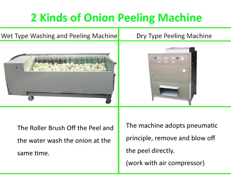 Onion Cleaning Machine