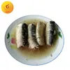 Export canned sardine mackerel fish export types of canned fish