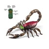 Cool design scorpion beetle toys remote control for kids with light
