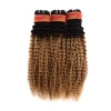 Huashuo 50% OFF T1B27 New Arrival Long Lasting Factory Wholesale Price Raw Virgin Burmese Kinky Curly Hair