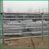 10ft, 12ft length 5mmx25NB Pipe hot dip galvanized Farm Gates with Star Picket