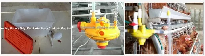 Baiyi China Factory Supply Various Hen/Layer Chicken Cage