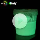 JOLIN Night Glow Phosphor Pigment Paint Glow In The Dark Car Spray Paint
