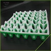 /product-detail/2016-new-style-pe-disposable-plastic-egg-tray-60492379896.html