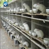 /product-detail/hot-selling-cheap-commercial-rabbit-cages-rabbits-breeding-cage-farms-factory--62128896725.html