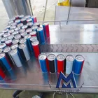 Space Saving Entry Level Automatic Alcoholic Beverage Can Filling Machine / Alcoholic Drink Tin Canning Machine