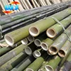 /product-detail/moso-bamboo-pole-355065878.html