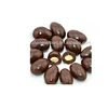 /product-detail/bolo-de-chocolate-almond-coated-chocolate-1408160982.html