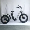 /product-detail/3-wheel-motorized-bike-electric-cargo-trike-three-electric-cargo-tricycle-cargo-bike-60803934202.html