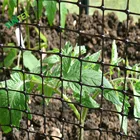 50 mesh fruit tree plant cover diamond mesh bird mist net/bird protection net/anti bird monofilament net with high quality