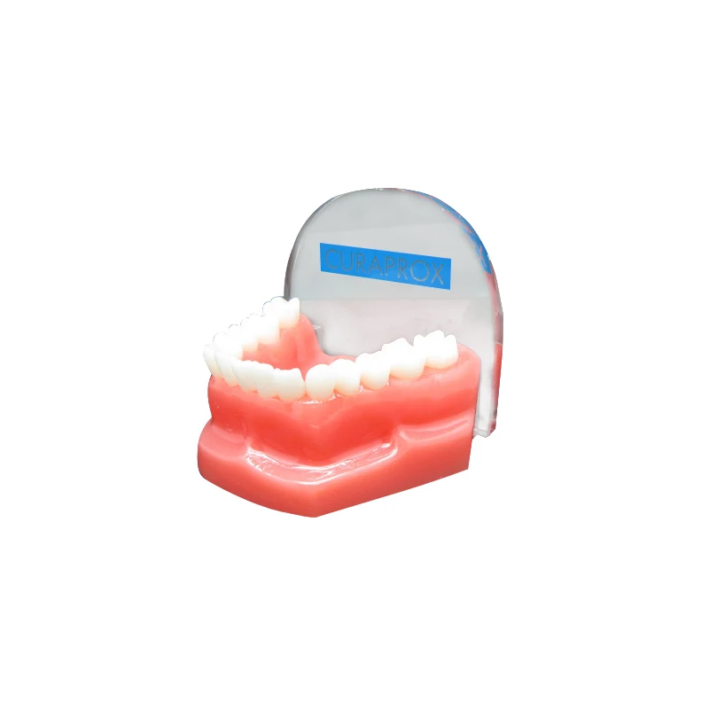 make acrylic teeth model items